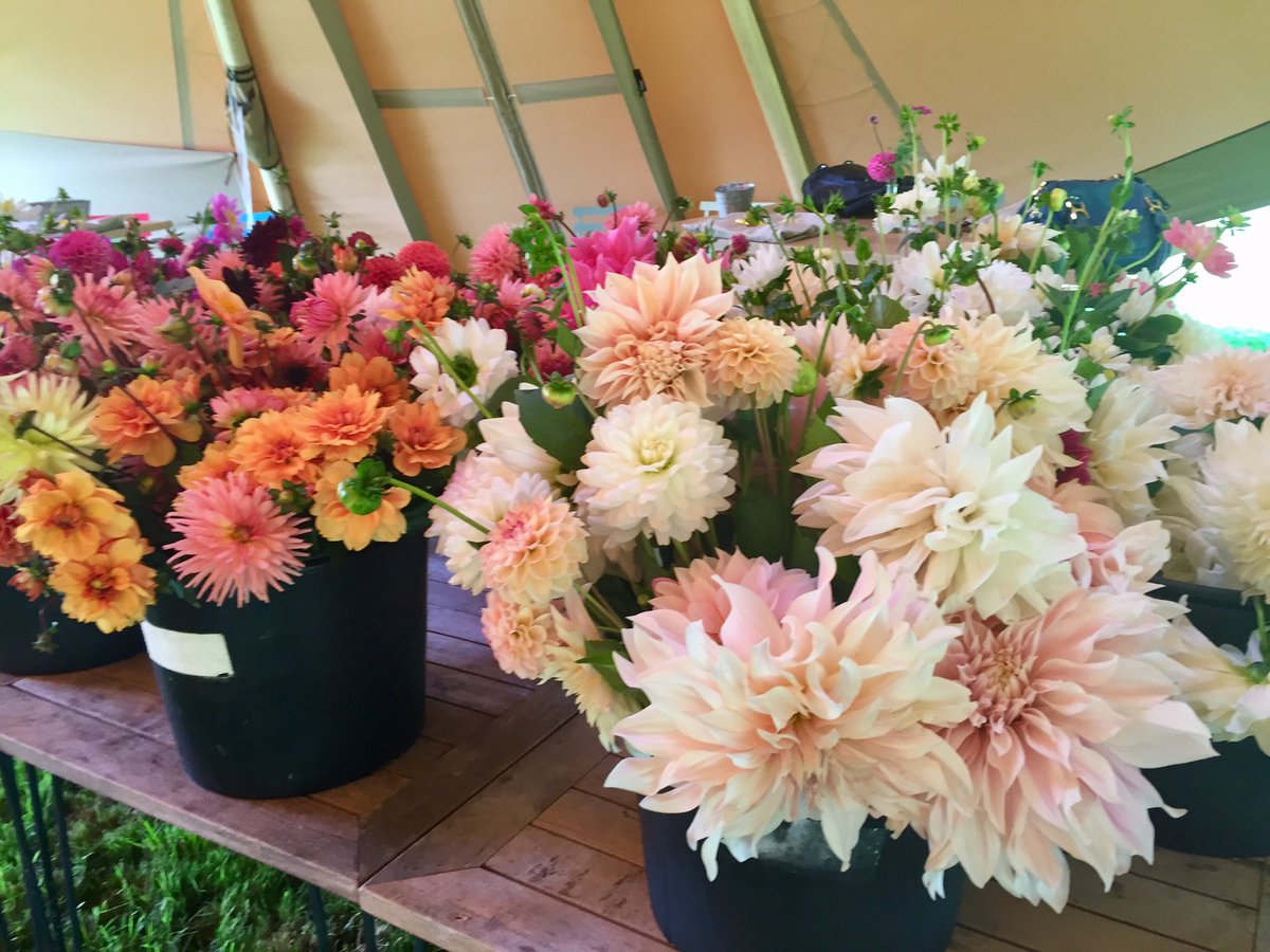 CoramCottage's tweet photo. A flower filled day in the new tipi at West End Flower Farm with the lovely @hberryflowers #Britishflowers #Hampshire https://t.co/mQjaU51g9d