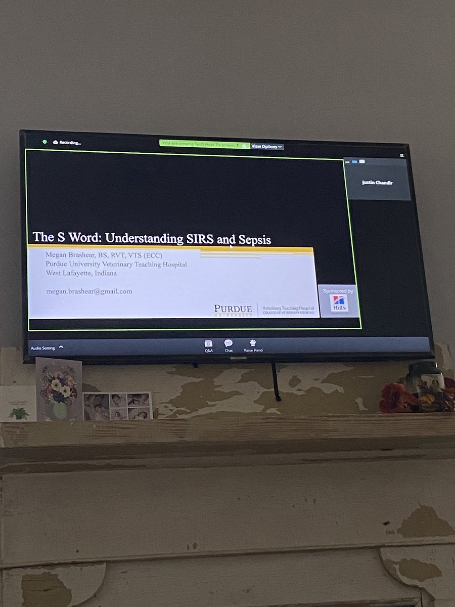 BigSwilley's tweet photo. #iveccs2020 on the big screen @VECCSinfo https://t.co/pccB9NClnq