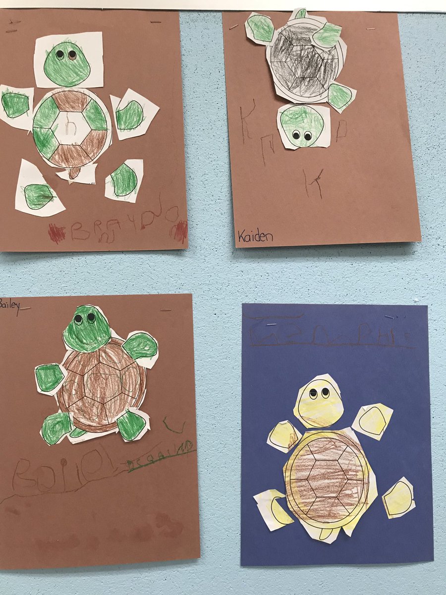 kseamone's tweet photo. The primary class #WNES @SSRCE_NS is learning all about #Twiggle and how to #turtle this week! #SEL @PATHSprogram @nseducation #Pathsprogram @caselorg https://t.co/Okfqw4lqOU