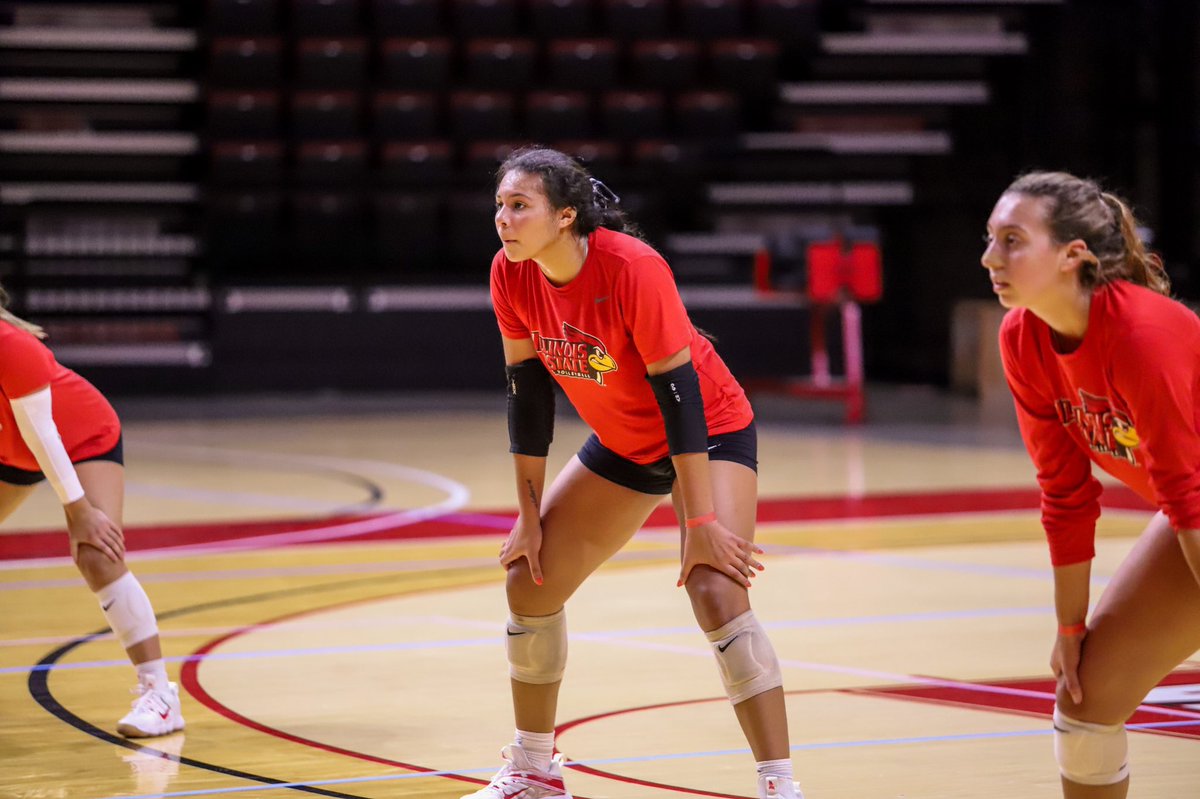 NCAA Women's Volleyball tweet media