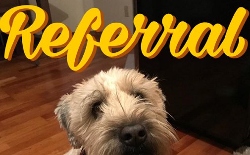 CosAutosmith's tweet photo. #didyouknow that we do a monthly referral contest?
Learn more on our website: 
https://t.co/GlOCbY9Yq4
#ColoradoSprings #referralcontest #referral #contest #referafriend #autosmith https://t.co/wF9OKWehjW