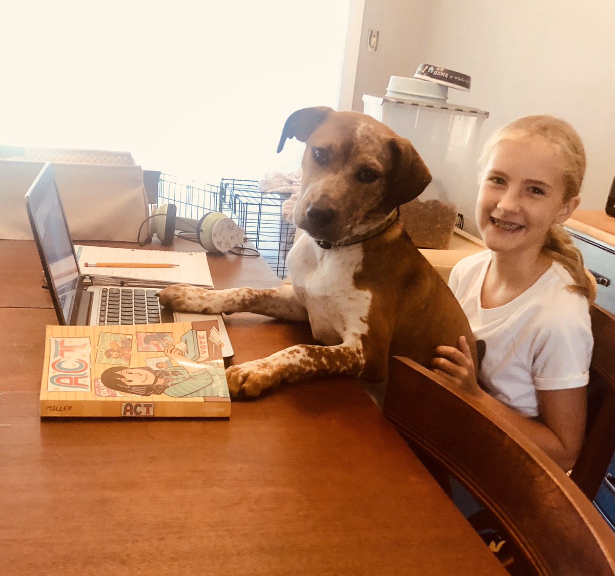 learygiftedSTL's tweet photo. Dogs like to hear stories read to them too! #elearningadventures https://t.co/FW1jnUIoz2