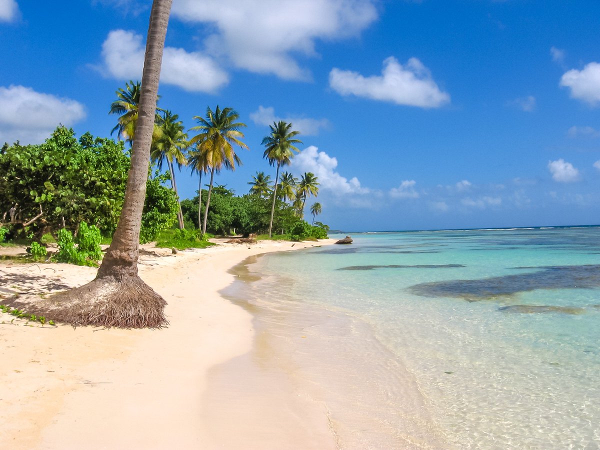 RCHDreamTravel's tweet photo. Guadeloupe, a Caribbean island with a French twist and fabulous beaches! Sounds like a great getaway!
#RCHDreamTravel #Dallas #vacation #SeeTheWorld #JustTravel #FamilyTravel #Caribbean #Guadeloupe https://t.co/MlgsPyYG91