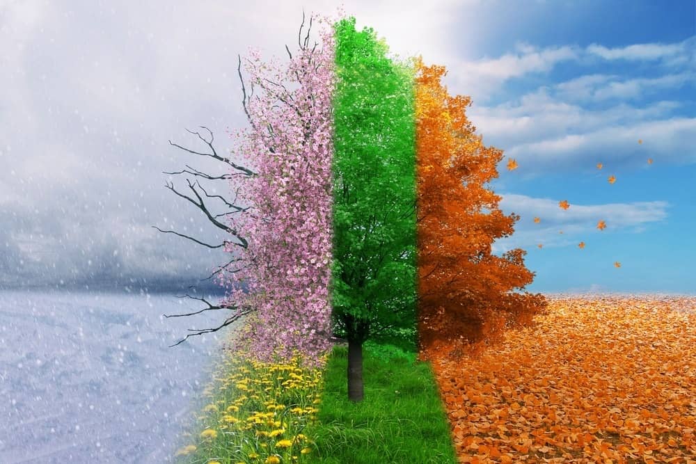 SleepZM's tweet photo. Curious to know how seasons affect our sleep needs? Read this... https://t.co/8AN2vUAat2 https://t.co/iS1uJD9P7C