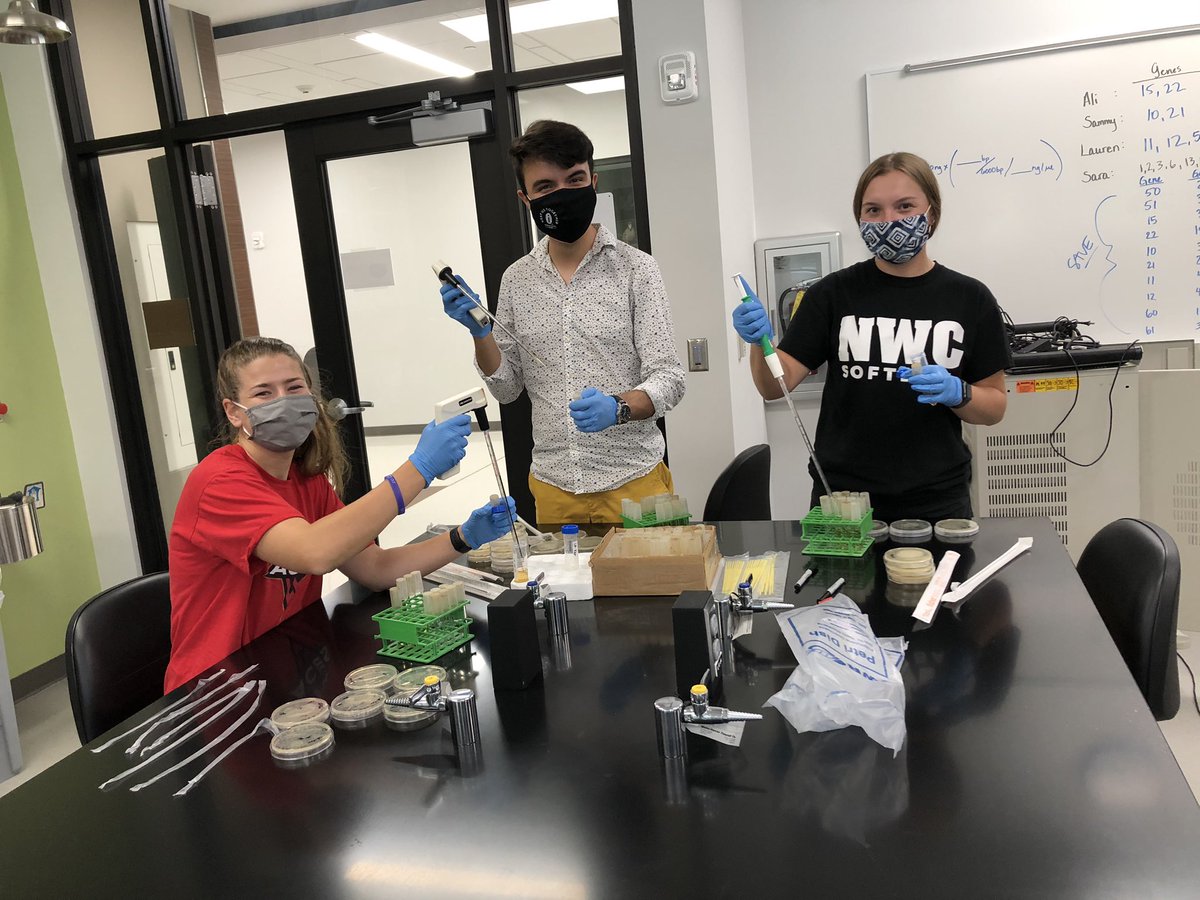 BiologyNwc's tweet photo. These amazing @nwciowa #SEAGENES students have successfully cloned 10 PhageIsland3 genes! https://t.co/93UGlq2GRC
