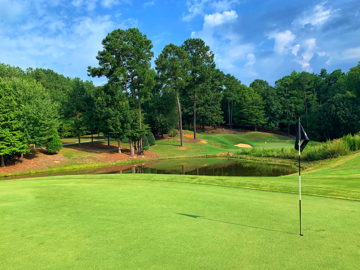 Cobblestone Park tweet media