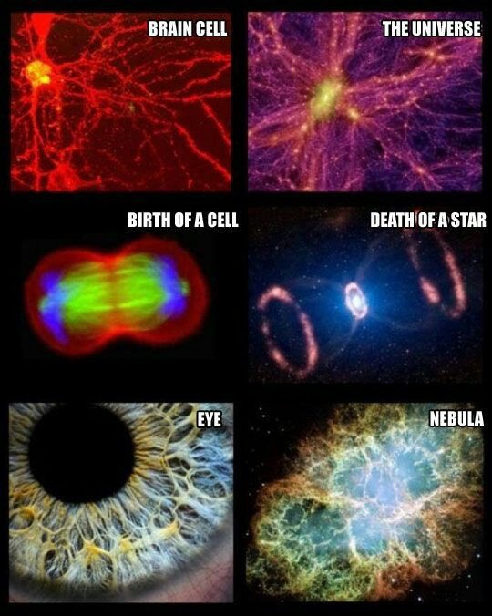 ‘On earth, as it is in Heaven.’‘As above, so below.’ Both mean the same thing. Everything in creation is an extension (energy) of our Creator. Made in our Creator’s image.