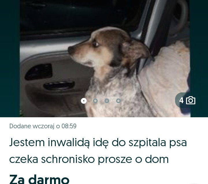 selscar's tweet photo. KOCHANI, WIEM, ŻE JESTEŚCIE WRAŻLIWI NA TAKIE RZECZY, DLATEGO NIE PRZECHODŹCIE OBOJĘTNIE I DAJCIE RT, BO MOŻE WŚRÓD NAS JEST OSOBA, KTÓRA BĘDZIE W STANIE POMÓC
PAN MI NAPISAŁ, ŻE DUŻO TELEFONÓW ALE NIESTETY ŻADNYCH KONKRETÓW
LINKA ZOSTAWIĘ POD TWEETEM https://t.co/2vBEZ7IvGU