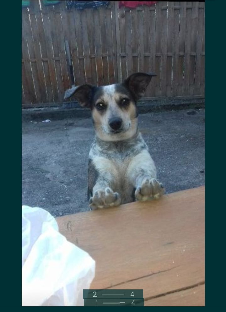 selscar's tweet photo. KOCHANI, WIEM, ŻE JESTEŚCIE WRAŻLIWI NA TAKIE RZECZY, DLATEGO NIE PRZECHODŹCIE OBOJĘTNIE I DAJCIE RT, BO MOŻE WŚRÓD NAS JEST OSOBA, KTÓRA BĘDZIE W STANIE POMÓC
PAN MI NAPISAŁ, ŻE DUŻO TELEFONÓW ALE NIESTETY ŻADNYCH KONKRETÓW
LINKA ZOSTAWIĘ POD TWEETEM https://t.co/2vBEZ7IvGU