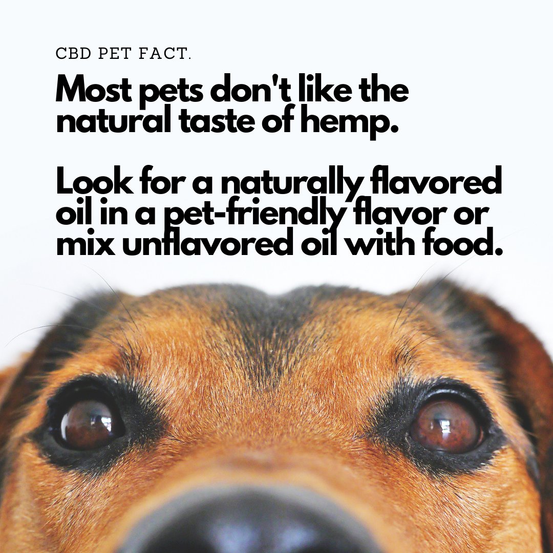 PurePetCBD's tweet photo. Ours is chicken flavored!👍 https://t.co/rnBdoWVCqA