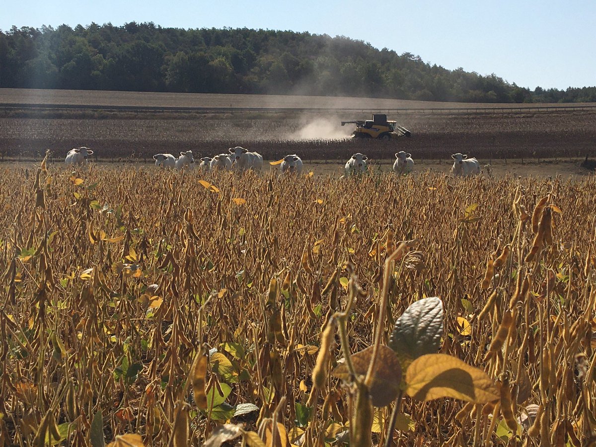 Emmanuel BONNIN tweet media