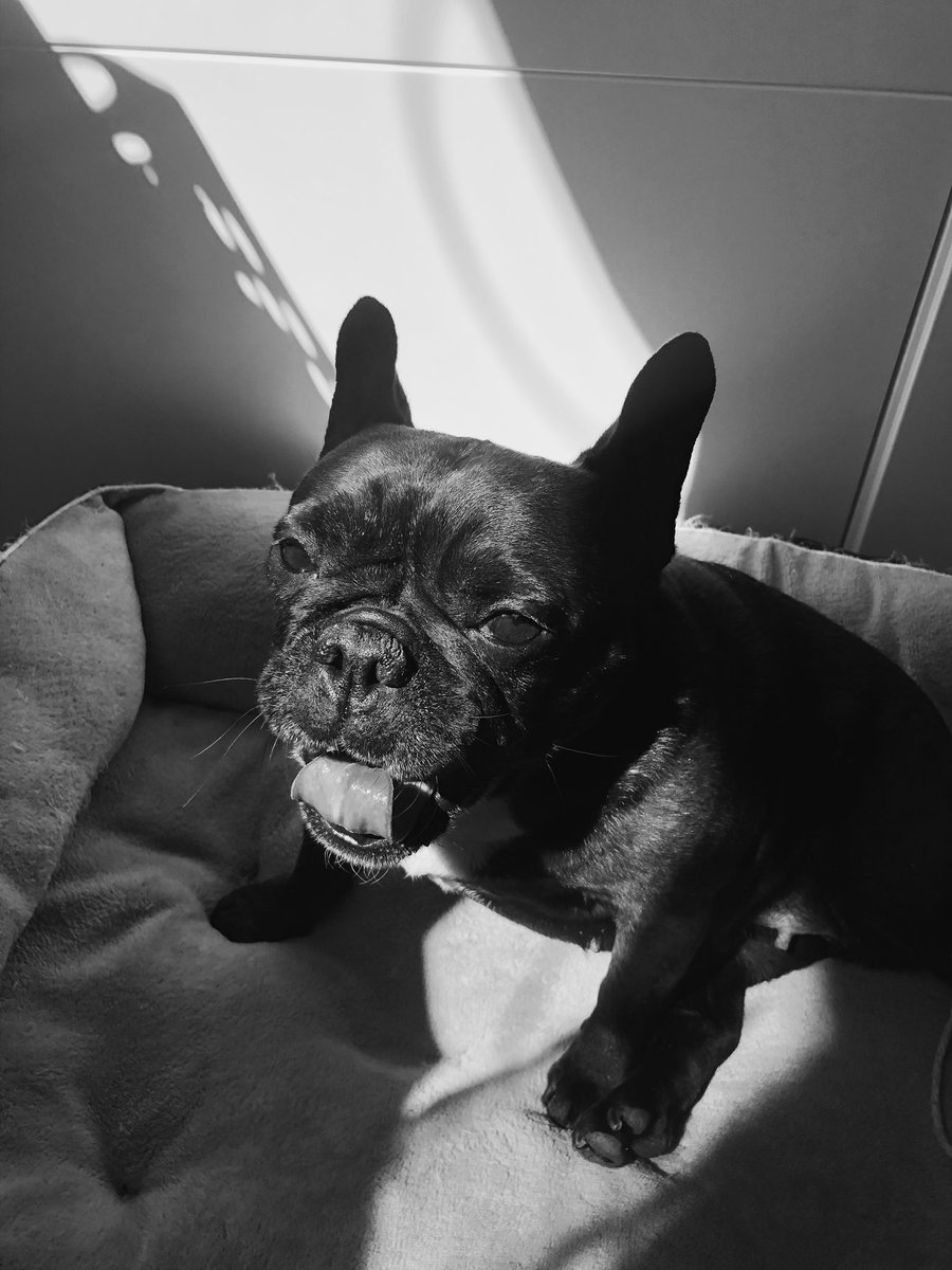 😛