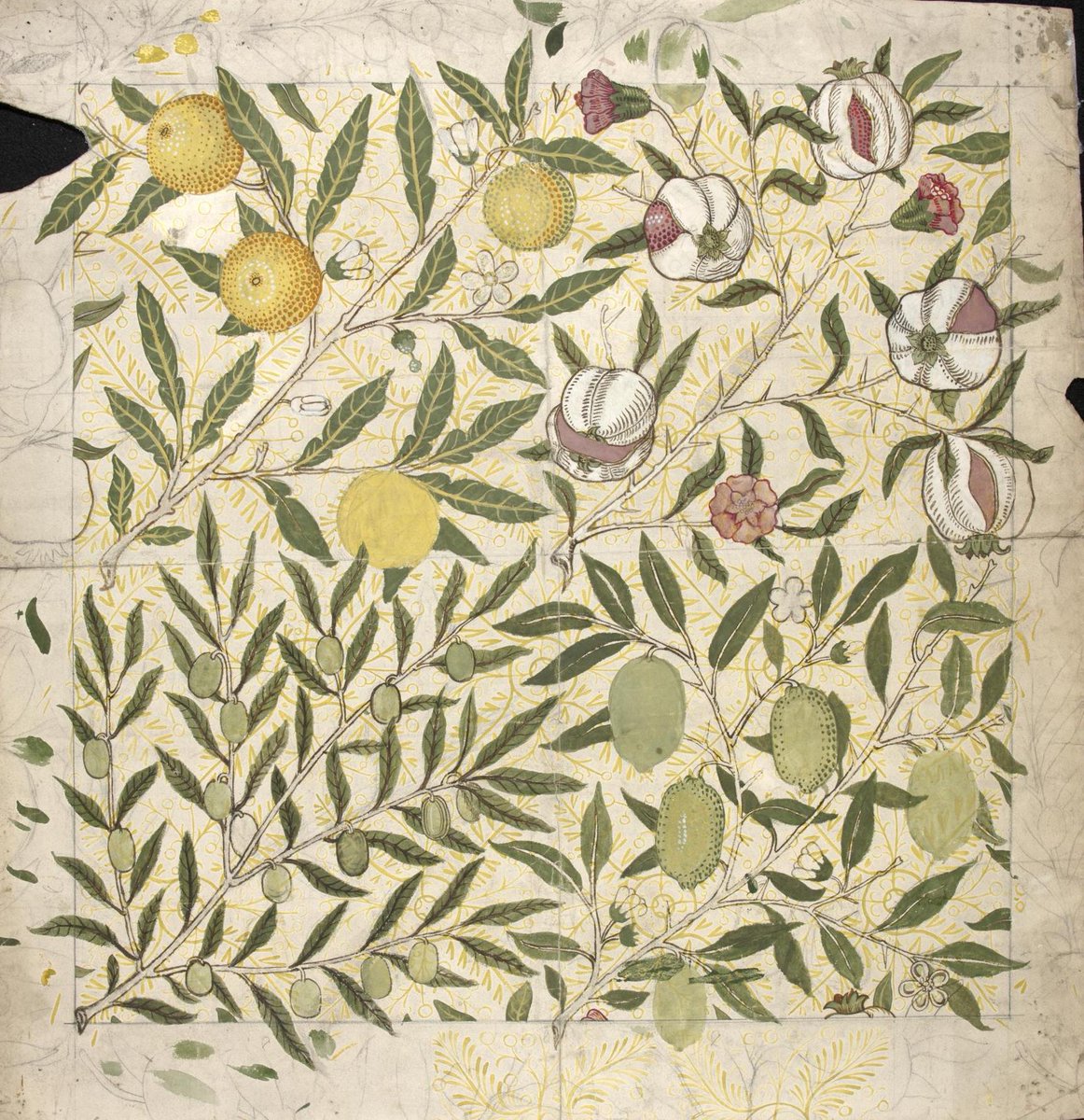 A draft of the pattern is held at the V&A. Their information notes that the design shows work by more than one designer. The pomegranates may be by the architect Philip Webb, who was Morris's friend and frequent collaborator.