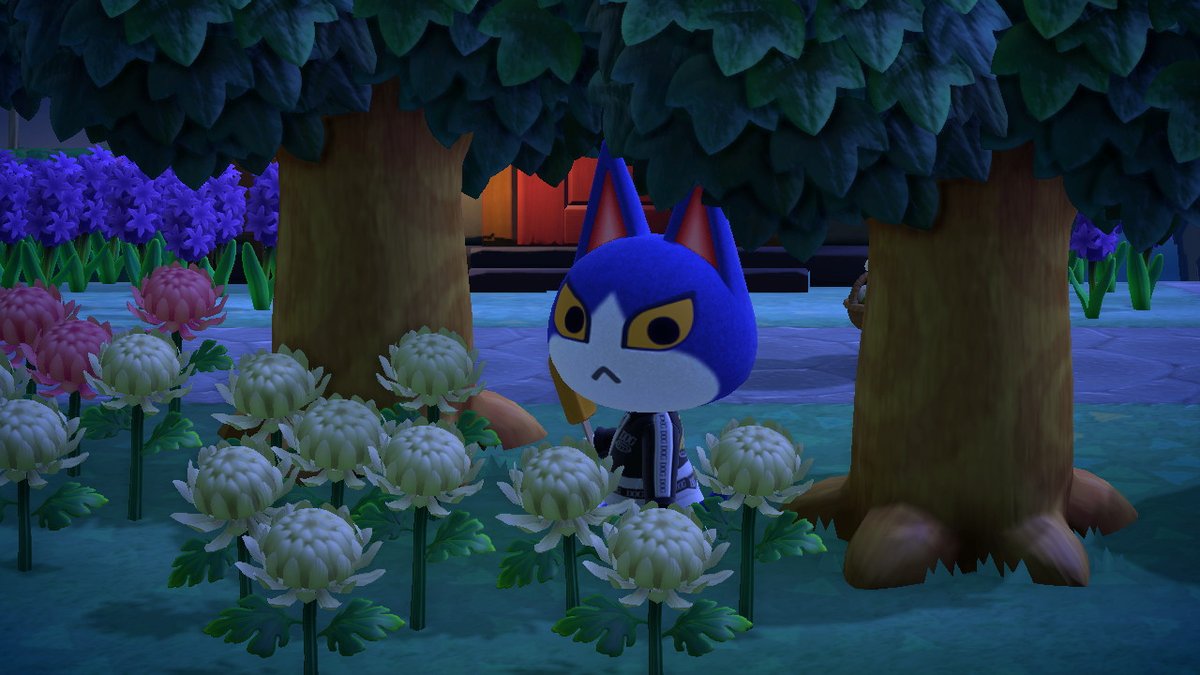 OccultNS's tweet photo. Late night encounter
#AnimalCrossing #ACNH #ACPunchy #ACTom https://t.co/DXIzdqhysR