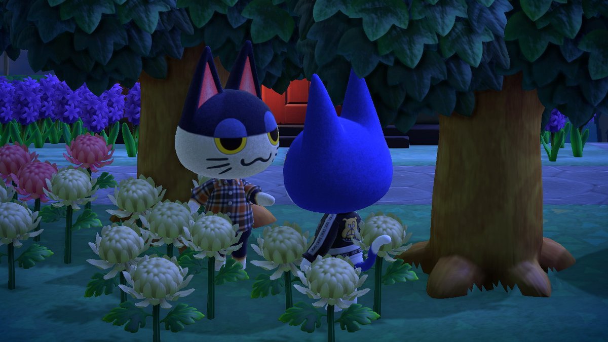OccultNS's tweet photo. Late night encounter
#AnimalCrossing #ACNH #ACPunchy #ACTom https://t.co/DXIzdqhysR