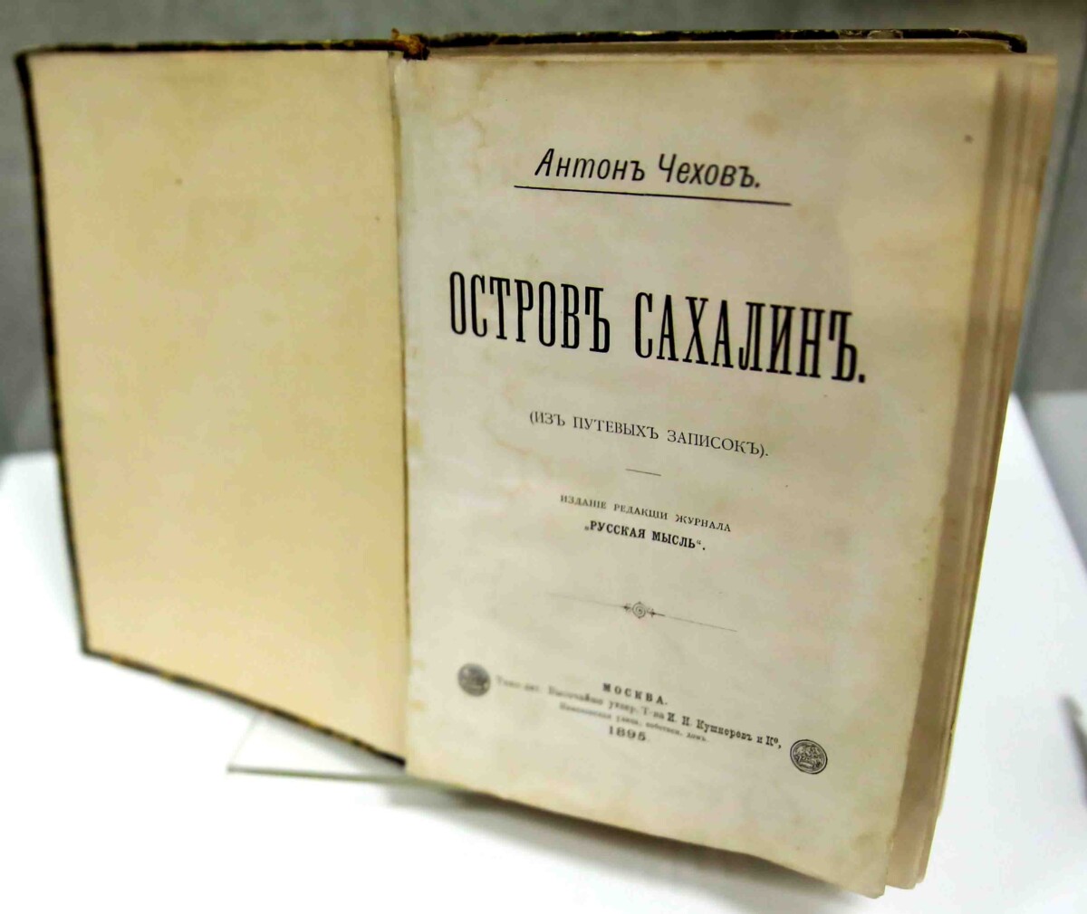 Наталья Седова, порно актриса өмірбаяны Бисексуалдық порно