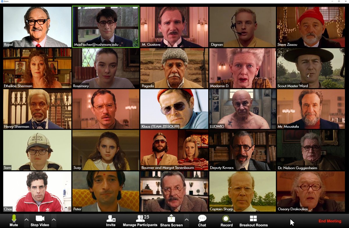 Wes Anderson zoom call