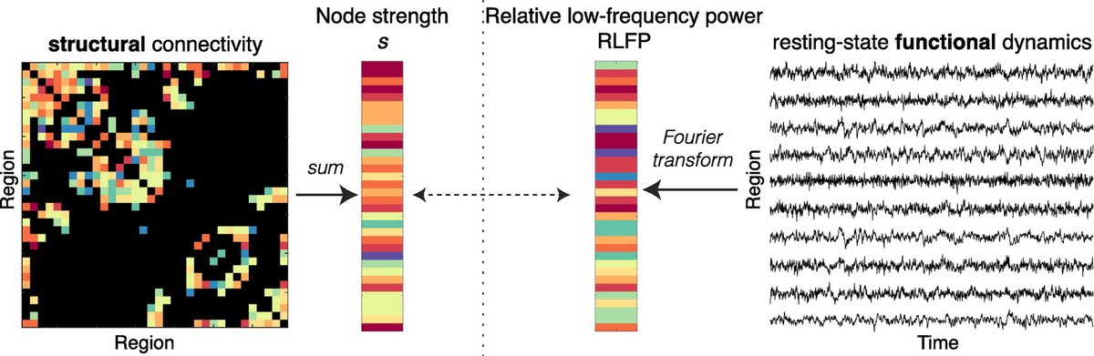 Network Neuroscience tweet media