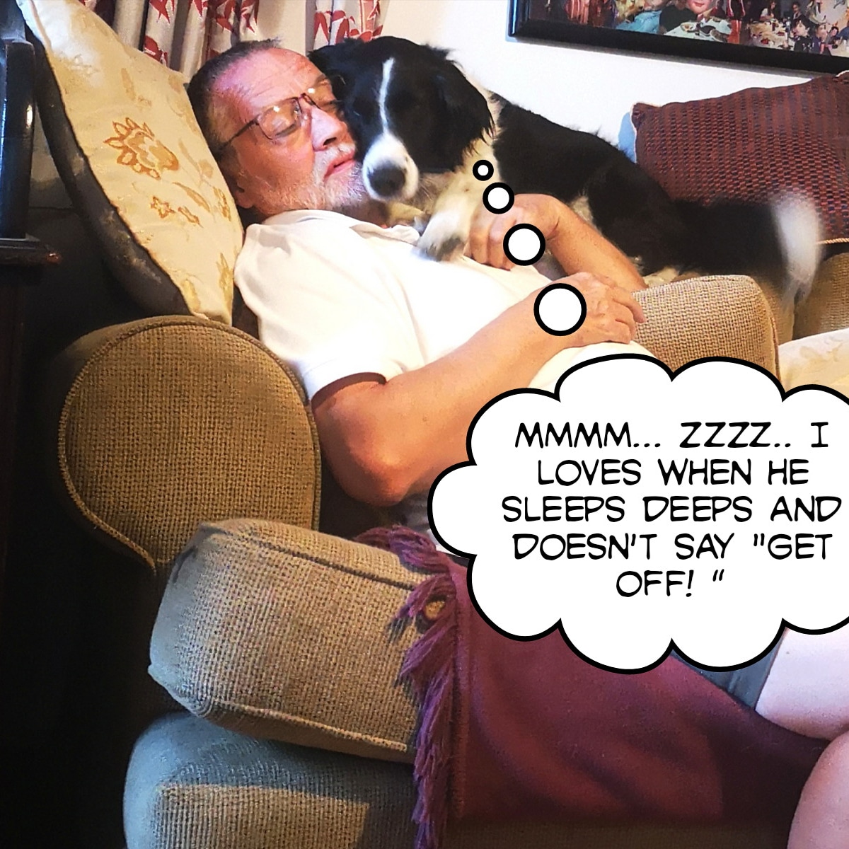 daisydogdiary's tweet photo. Heehee... I got a full hour of snoozes....
#colliecuddles
#doglovesdad https://t.co/UdUWGHL8oW