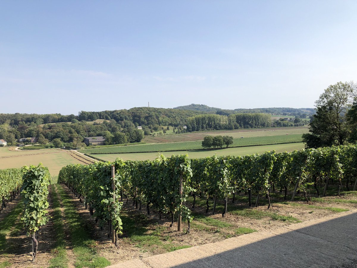 COostwegel's tweet photo. #Wanderlust met Camille ...de afgelopen dagen gewandeld met gasten van @Sint_Gerlach in het #Geuldal en met gasten van @Kruisherenhotel in het #Jekerdal met lunch in Auberge @Rest_Neercanne en wijnproeverij @apostelhoeve #hiermoetjezijn #Encigroeve @magnifiekZL @OostCollection https://t.co/nPjhtFtRHs