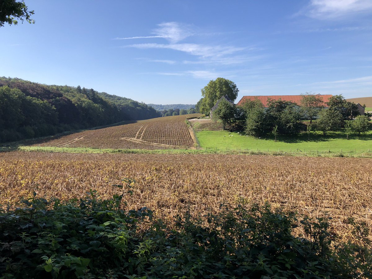 COostwegel's tweet photo. #Wanderlust met Camille ...de afgelopen dagen gewandeld met gasten van @Sint_Gerlach in het #Geuldal en met gasten van @Kruisherenhotel in het #Jekerdal met lunch in Auberge @Rest_Neercanne en wijnproeverij @apostelhoeve #hiermoetjezijn #Encigroeve @magnifiekZL @OostCollection https://t.co/nPjhtFtRHs