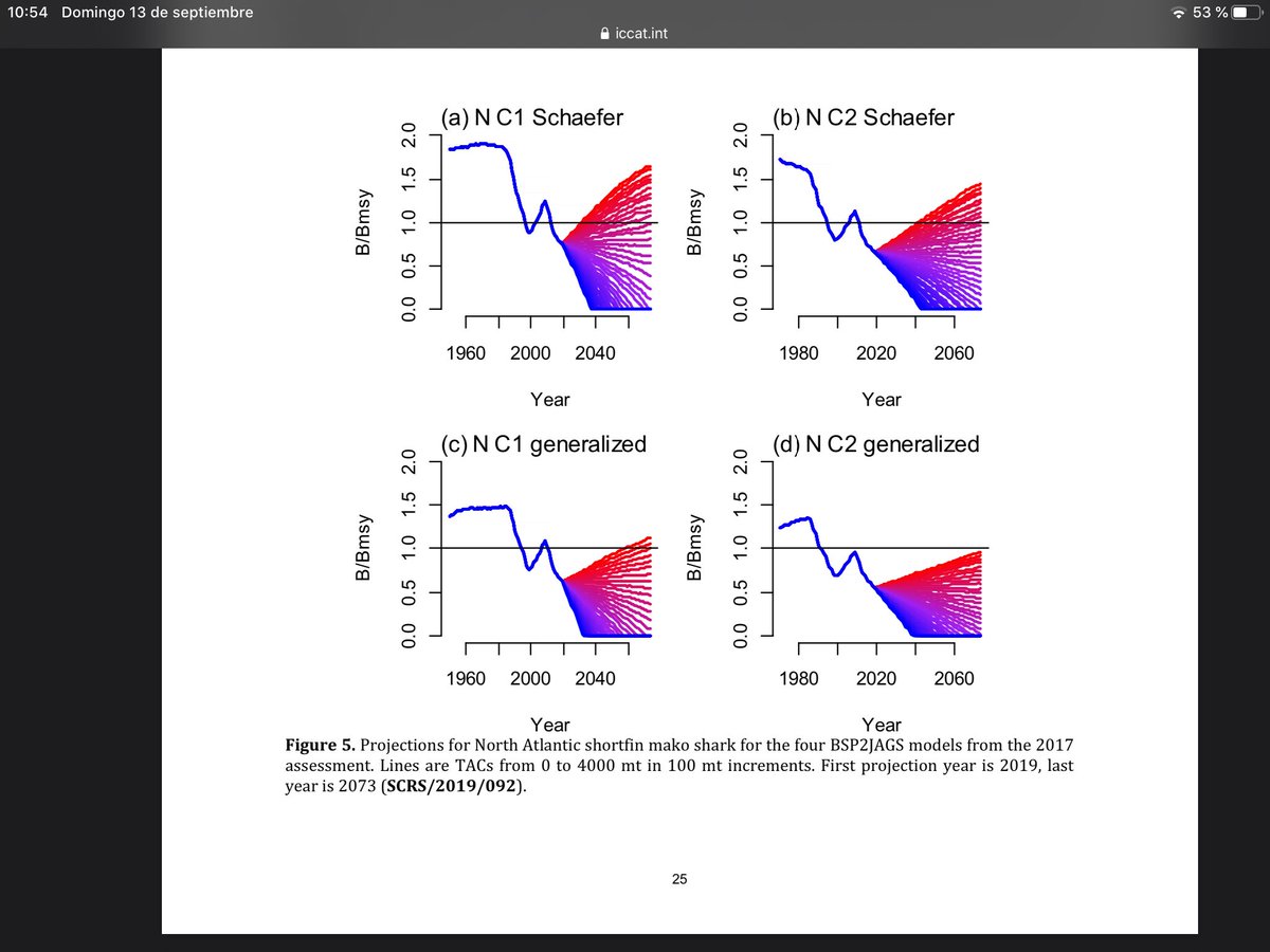 In 2019 ICCAT scientists recommended a full ban of mako’s retention. Today, shark specialists from ES and PT sent a letter to Commissioner  @VSinkevicius & Ministers  @TeresaRibera,  @LuisPlanas,  @RSerraoSantos claiming further conservation efforts  https://www.sciaena.org/pt/component/phocadownload/category/1-sciaena?download=42:mako-scientists-letter-es
