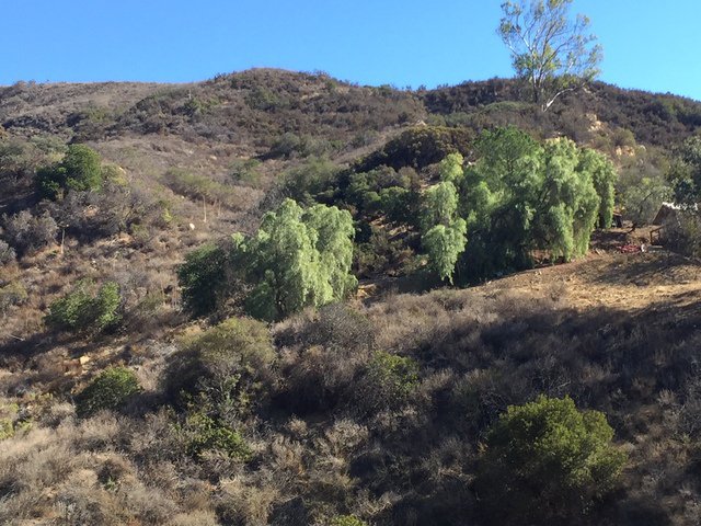 pritchettrapf's tweet photo. Vesey Road - For sale at $85,000
Listed by Christine Kapetan - (310) 804-8336
DRE# 01467320

Two lots, beautiful views! Quiet area with pretty views of the Saddlepeak Mountain Range. Exciting Possibilities!
#topanga #topangarealestate #vacantland #topangaland https://t.co/afRqjqTxxQ