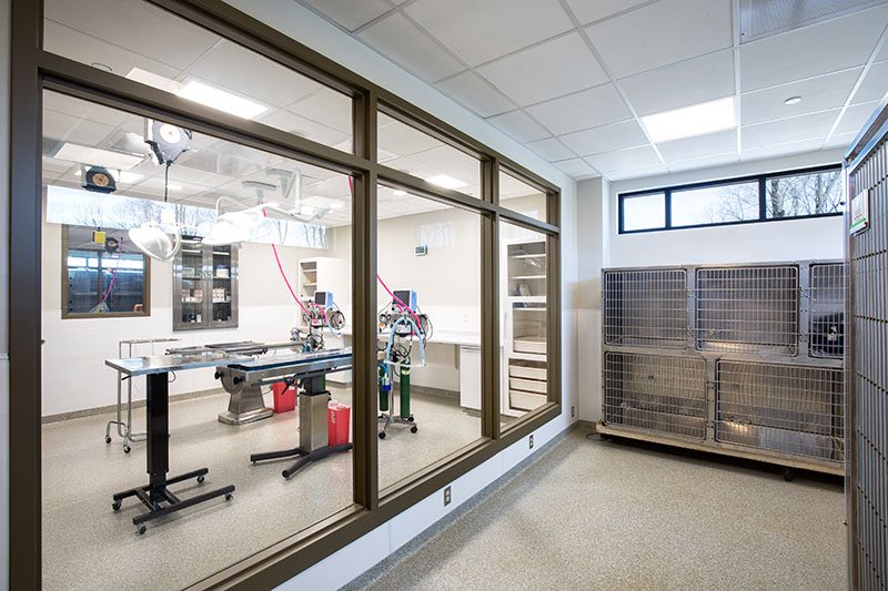 CongerBuilt's tweet photo. Today’s featured photos focus on the surgery suites &amp; veterinary clinic services @sicsa. The building also includes 6 HVAC systems individually designed to service each area preventing cross contamination to aid in disease control. #CongerBuilt @carrhealthcare @midmarkcorp https://t.co/ZjmyJLlrP4