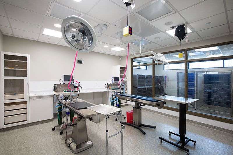CongerBuilt's tweet photo. Today’s featured photos focus on the surgery suites &amp; veterinary clinic services @sicsa. The building also includes 6 HVAC systems individually designed to service each area preventing cross contamination to aid in disease control. #CongerBuilt @carrhealthcare @midmarkcorp https://t.co/ZjmyJLlrP4