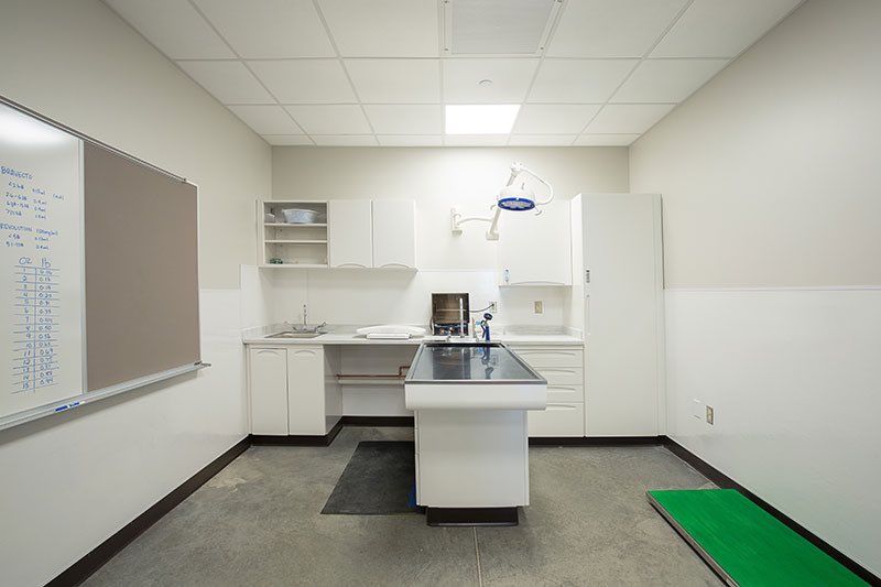 Today’s featured photos focus on the surgery suites &amp; veterinary clinic services <a href="/sicsa/">SICSA Pet Adoption and Wellness Center</a>. The building also includes 6 HVAC systems individually designed to service each area preventing cross contamination to aid in disease control. #CongerBuilt @carrhealthcare @midmarkcorp