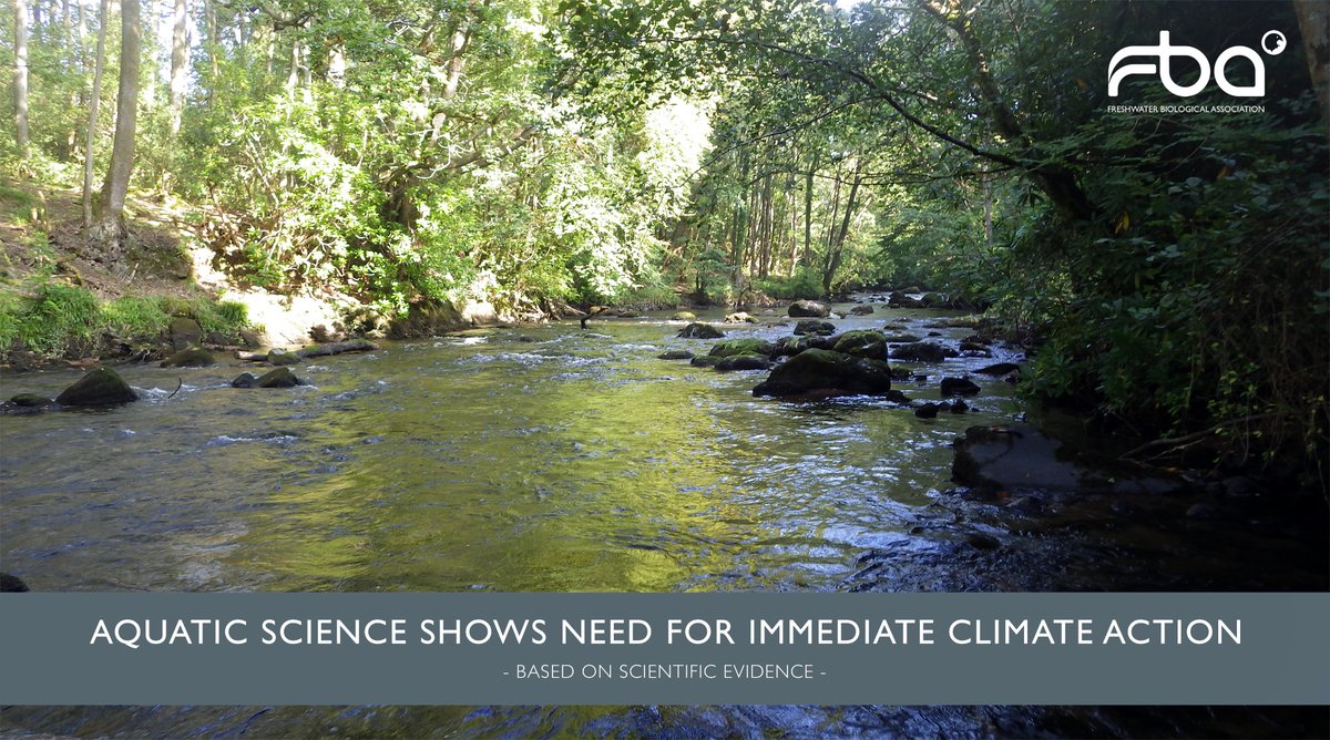 AnwenBill's tweet photo. FBA joined 110 aquatic organisations globally, to call for urgent action to counter man made climate change & it's impact on freshwater biodiversity -> https://t.co/14SghGNoS5
#EvidenceBasedActionOnGlobalChange
#SaveOurFishClimateStatement https://t.co/7RN5P45Yfa @freshwaterbio