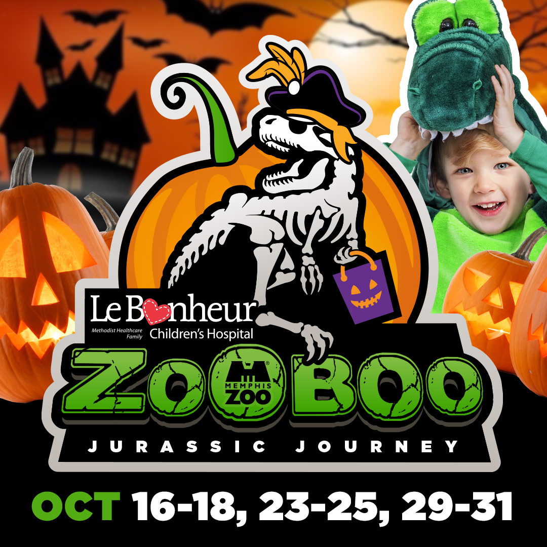 MemphisZoo's tweet photo. Ready for a spooktacular night at the zoo? Show off your Halloween best at Zoo Boo! Get all the updates & fun on our website or Facebook event. Click the link for tickets: https://t.co/74t4ZbxLMI
#memphiszoo #mzooboo #ilovememphis #choose901 #memphismom #memphisparent https://t.co/2cCV9xJOHt