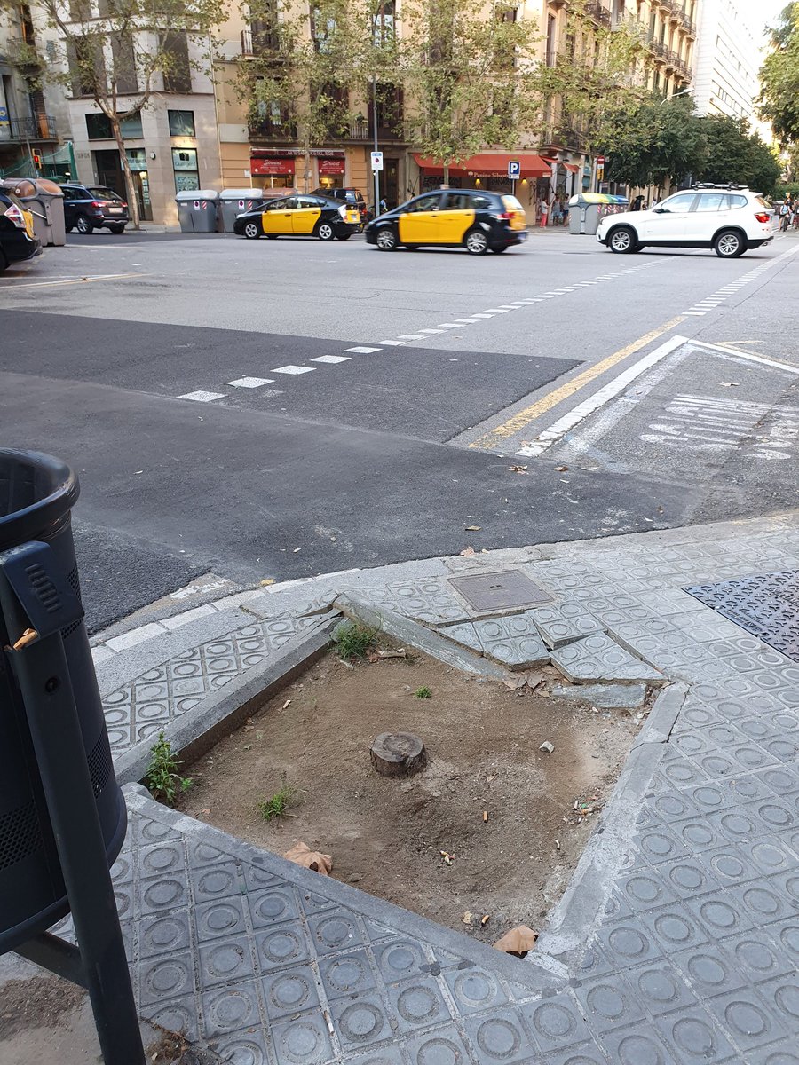 escocell1's tweet photo. Benvolgut @bcn_ajuntament i @BCN_MediAmbient davant de l'edifici situat al carrer Provença amb Aribau, cantó Llobregat-mar  hi ha un  escocell sense cap arbre. #1escocell1arbre https://t.co/kUSBDfawcO