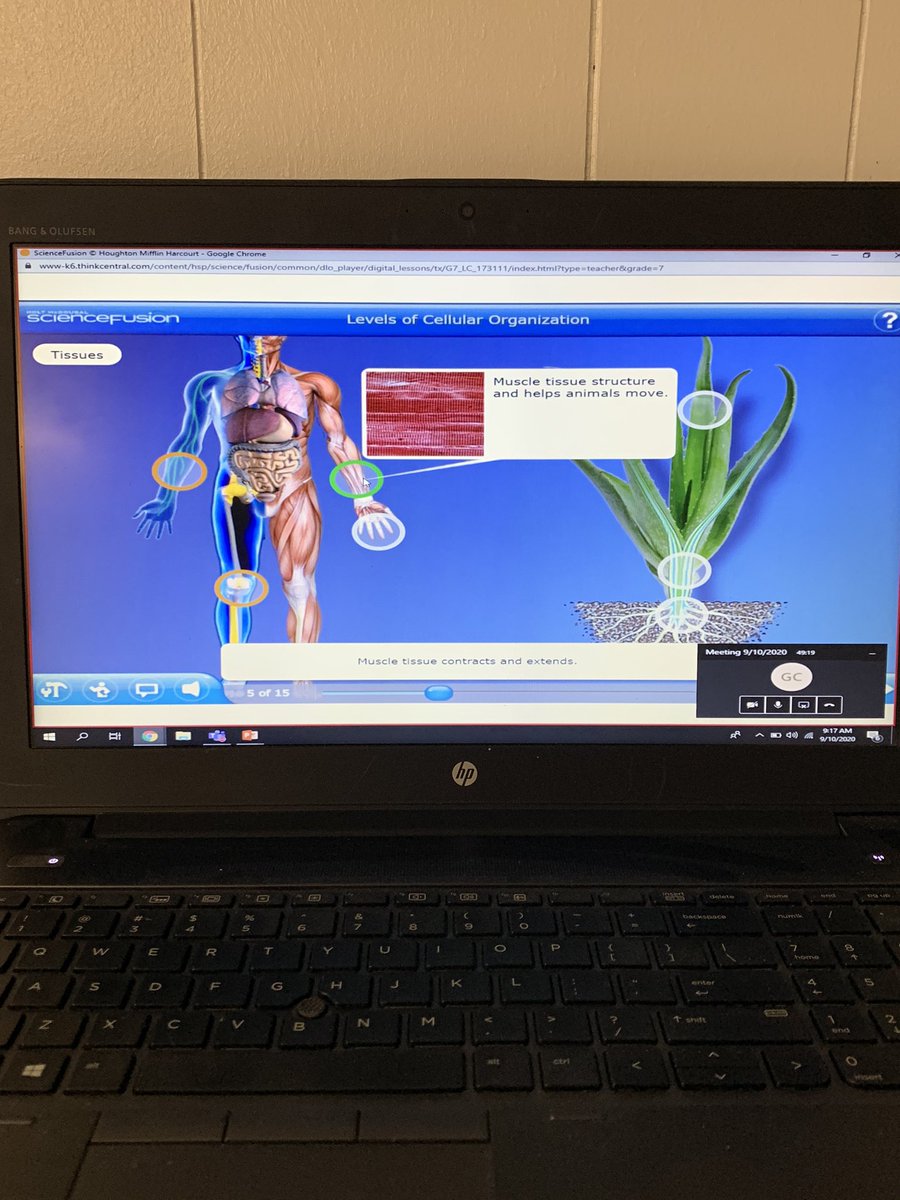 KMildon_JDS's tweet photo. Integrating @padlet and #ScienceFusion last week @JDrugan_K8 #TeamSISD https://t.co/ujrS9Zwl4a