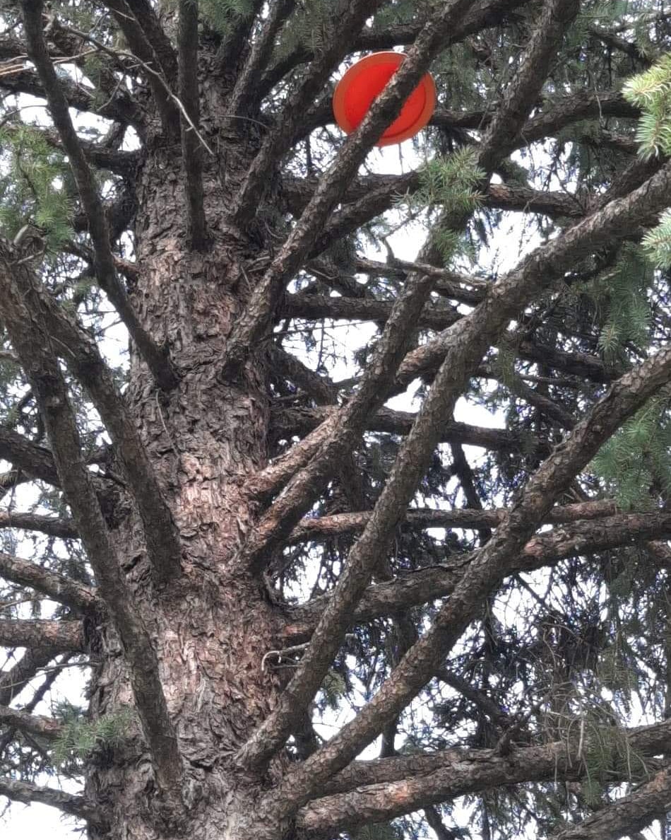 Hope your round is going better than ours 🤦🏻‍♀️
.
.
.
#disc #discgolf #frolf #frisbeegolf #discgolfleague #lacrosse #wisconsin #lacrossewi #week2