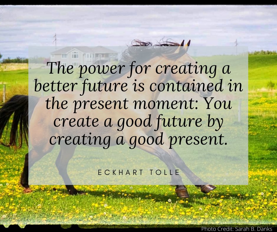 #MotivationMonday #ContainItGrowIt