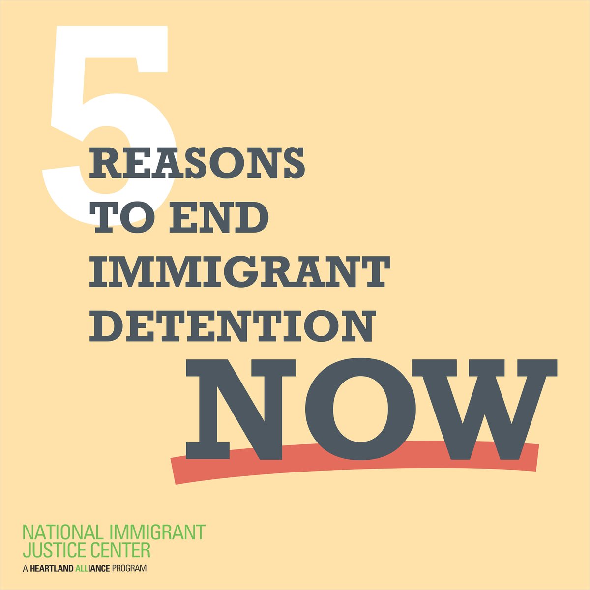 We call on policy makers and elected officials to take immediate and dramatic steps toward ending immigration detention. Here are 5 reasons why: