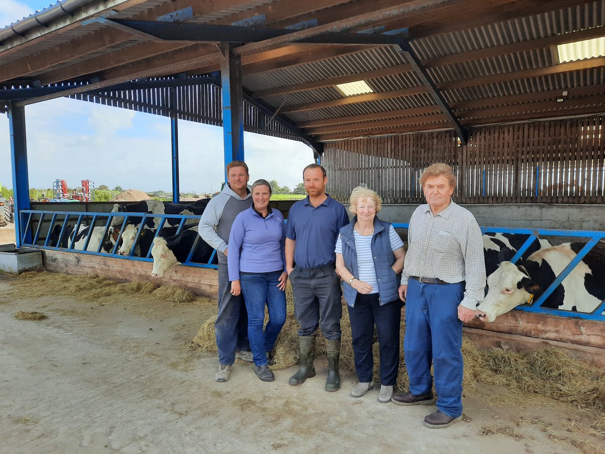 GenusABS's tweet photo. “We used Sexcel® for the first time on maiden heifers &amp; milking heifers with a conception rate of 43%. The great results will allow us to improve the tightness of our Autumn Block Calving herd &amp; increase genetic merit at the same time.” Pickervance, Preston.
#BlockCalvingGenetics https://t.co/D64CCfp8JN