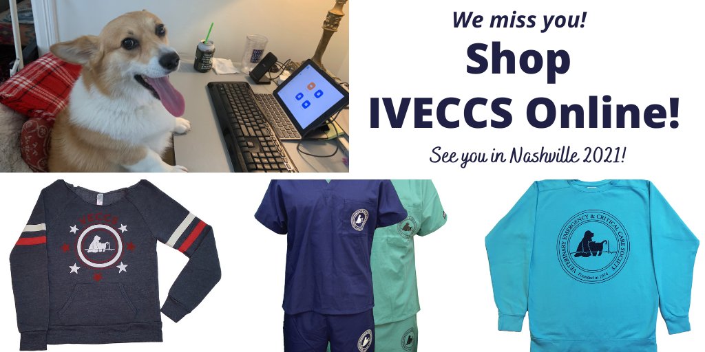 VECCSinfo's tweet photo. Here's a message from @StampAuburn
#iveccs2020 https://t.co/tVmvLPzcpU