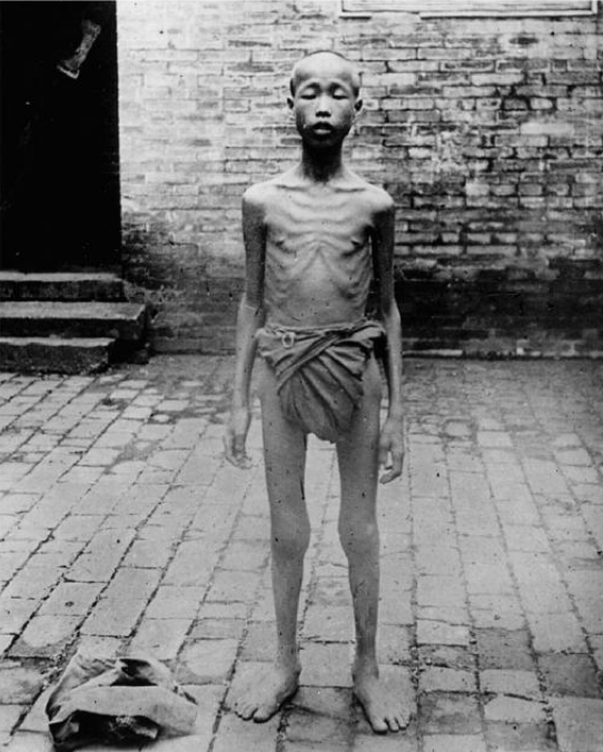 Essa limitação tem sido um imenso desafio ao longo da história chinesa, levando à escassez crônica de alimentos e fome generalizada.A China enfrentou 6 crises de fome entre 1907 e 1961, responsáveis pela morte de dezenas de milhões de pessoas.