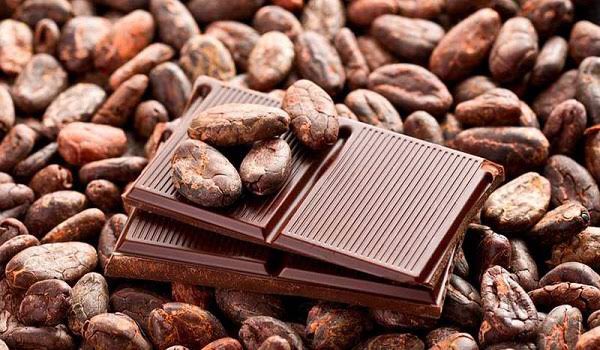 injury and chronic diseases as well as repairing damaged tissue.• Body DetoxificationCocoa Powder contains a low calorie and high fiber content that can help to increase the body’s fat metabolism, improve insulin resistance in the body and more that leads to weight loss.