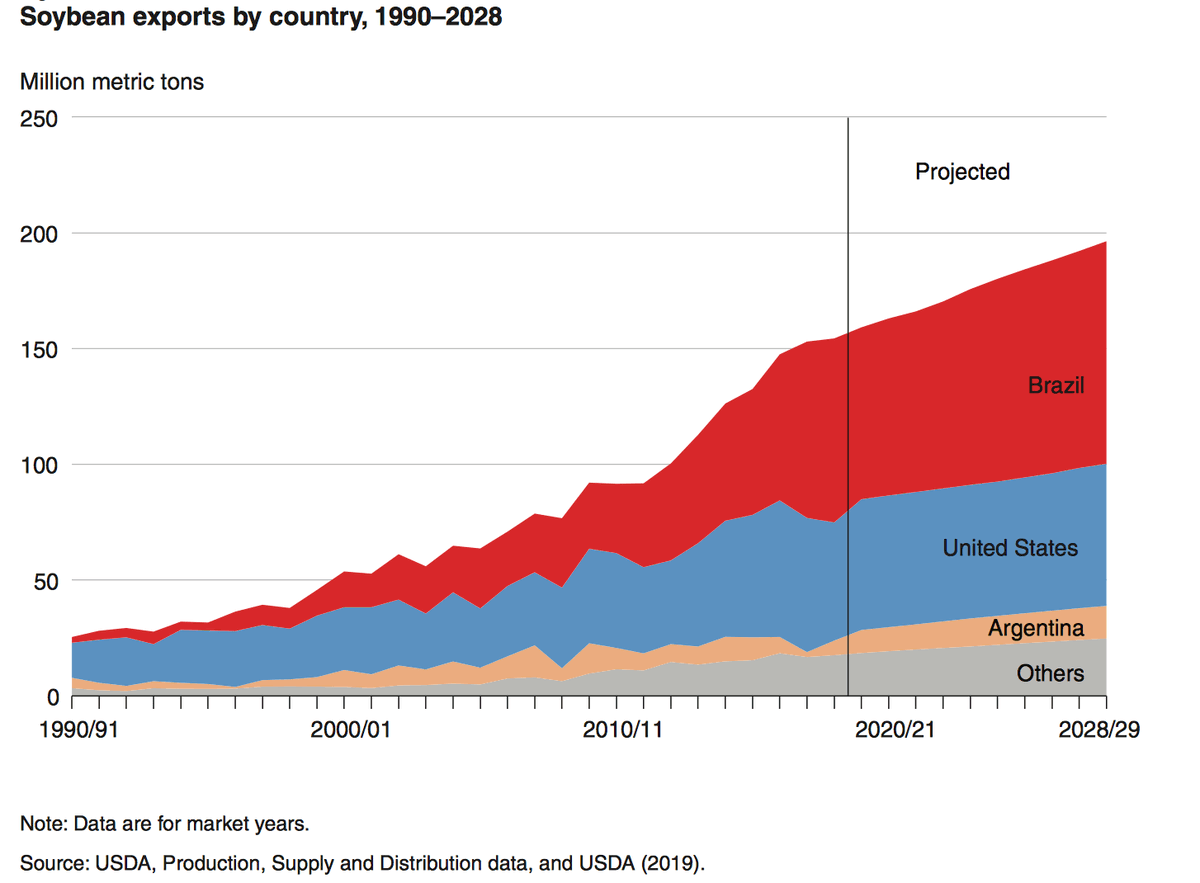 A China consumirá perto de 110 mi de toneladas de soja entre outubro de 2019 e setembro de 2020. A estimativa é que o Brasil exporte 55 mi de toneladas de soja à China nesse intervalo - o mesmo peso de 25 milhões de rinocerontes.E essa demanda aumentará nos próximos anos.