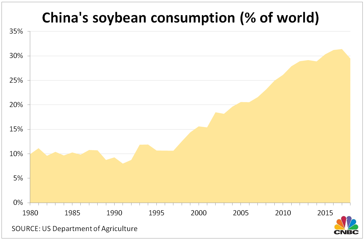 Como você alimenta tantos porcos? É aqui que o Brasil entra na história.Desde 2009, a China é nosso maior parceiro comercial. Em 2020, nós somos o 7º maior exportador no mercado chinês.E no topo do que vendemos a eles está um produto crucial à dieta de porcos: a soja.