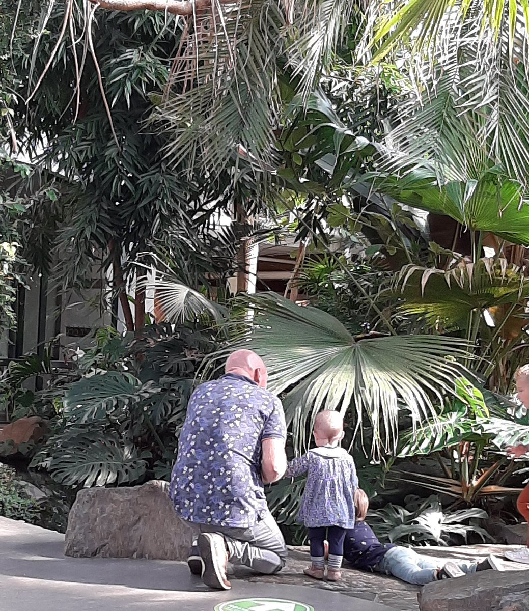 peerkebe's tweet photo. Samen met Eva.en Jamie schildpadjes  kijken. https://t.co/2zbpsRwp1u