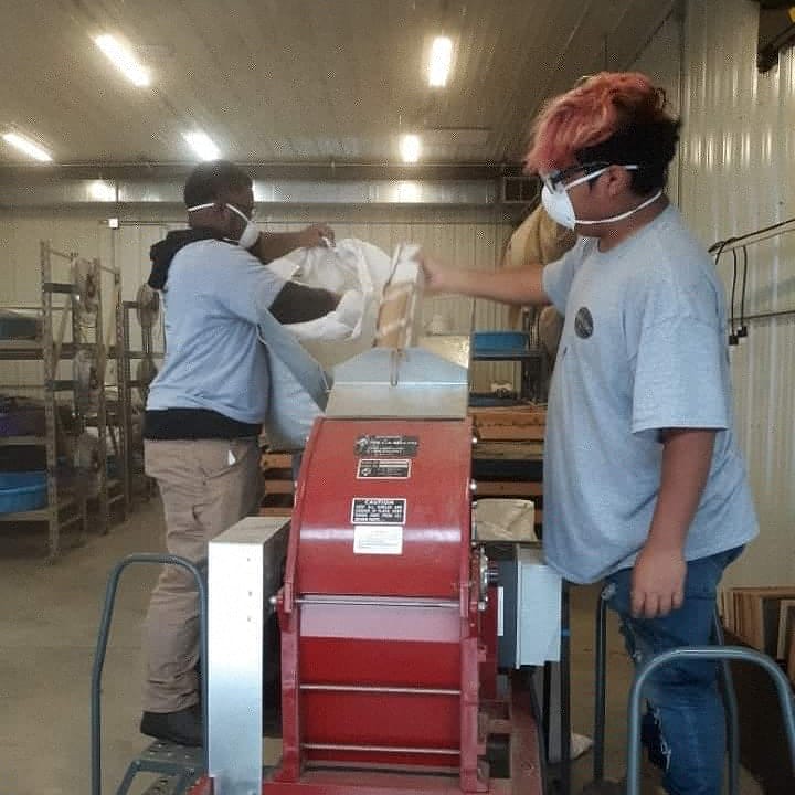 OFSMadison's tweet photo. That time of the year - seed picking & processing! Here are some pictures of Mile's conservation crew processing seeds at the Libby Rd Dane County Parks seed processing facility. The crew is processing June Grass and Joe Pye Weed. #danecountyparks https://t.co/OE1kVOymPi