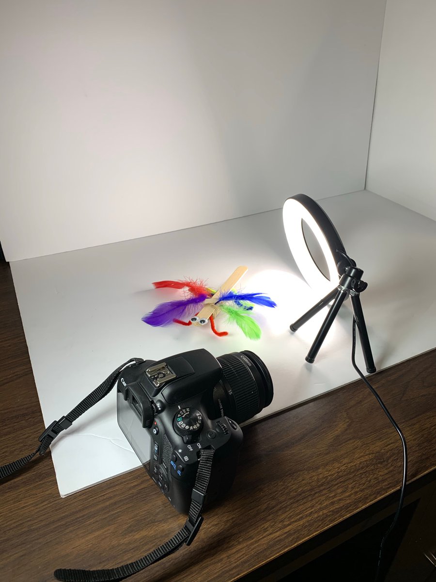 CSWNet's tweet photo. We’re working on some project photography behind the scenes today. What is everyone up to this Monday?
#CSW #CSWN #virtualCSW #STEMprojects #STEMforkids #DIYSTEM #STEMathome #communityscienceworkshop https://t.co/soVGssqDJB