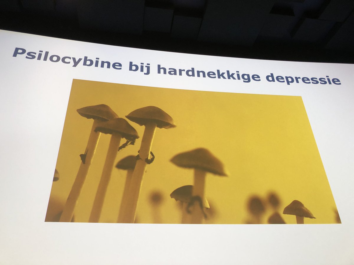 IrisSommer4's tweet photo. Jaaahaaa we mogen weer los in het @forum_groningen met de Marvelous Mind Movies. Smeuïge docu over psychedelica met prachtige intro door Jan Mars, klinisch psycholoog @umcg https://t.co/9Igb9fS6iF