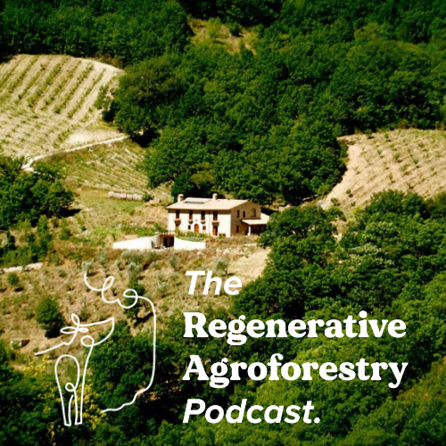 Regagroforestry's tweet photo. We just had an incredibly interesting conversation with Adolfo Rosati from Località il Piano, focused around creative strategies for balancing diversity and economy. Check it out!

EPISODE LINK HERE: https://t.co/BALCrXHzB9

#agroforestry #agroecology #regenerativeagriculture https://t.co/2OA6znSSgB