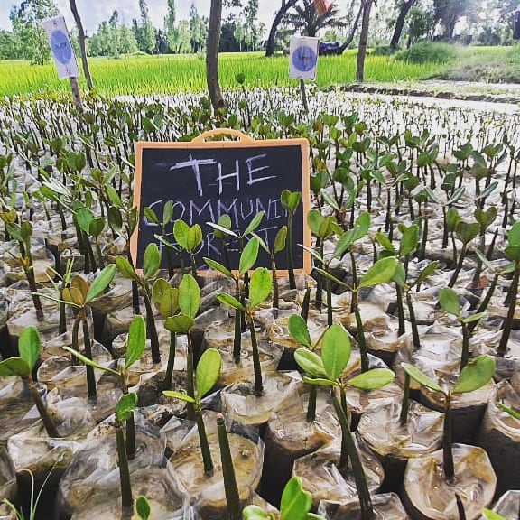afreenzaman007's tweet photo. @thecforest Team visit to take update,  supervise and motivate the community people. 
Thousands of saplings are ready to be planted. 
They are eagerly waiting for our support,  so that they can start making their livelihood. https://t.co/oybCiNwS4d