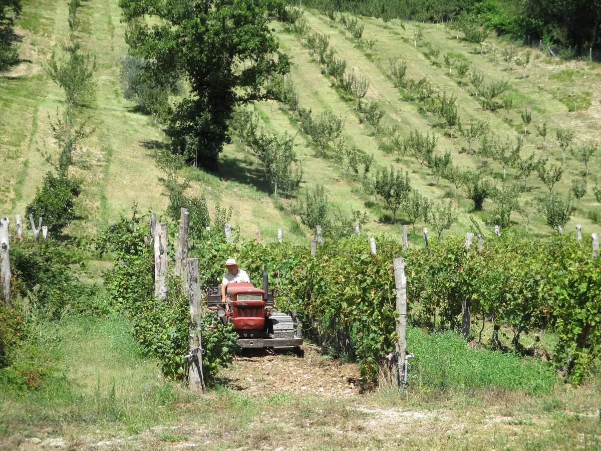 We just had an incredibly interesting conversation with Adolfo Rosati from Località il Piano, focused around creative strategies for balancing diversity and economy. Check it out!

EPISODE LINK HERE: regenerativeagroforestry.org/episodes/episo…

#agroforestry #agroecology #regenerativeagriculture